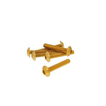 Poldid 6tk Plastik gold - M5x30