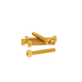 Poldid 6tk Inbus Alum. kuld - M5x30