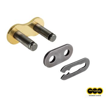 Regina, connectinglink 428EB