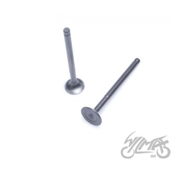 Klapi komplekt, sisse- ja väljalaskeklapp 4T mootorikoodiga JJ1P39QMB