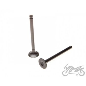 Klapid 39mm 50cc - 1P39FMB