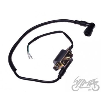 Süütepool, 2 juhet, 1 poldiga raami külge