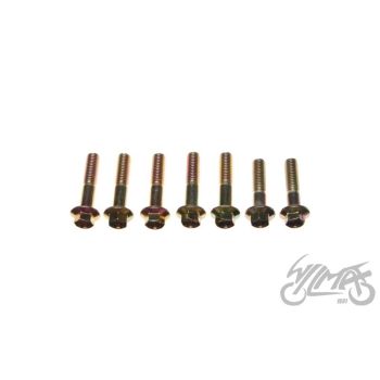 Käigukasti poltide komplekt 4T