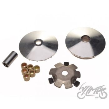 Vabastatud variaator LONGJIA LJ50QT-9M jaoks