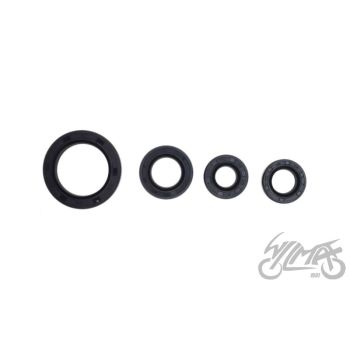 Simmerlingid (õlitihendid) ATV200 LONCIN (4TK)