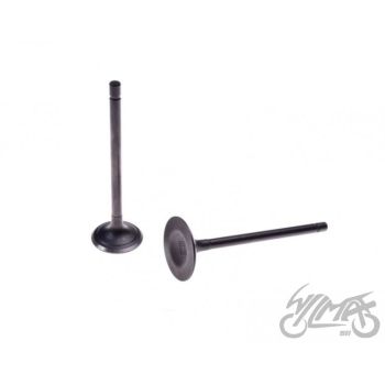 Klapi komplekt (sisse ja välja) - CG200, 163FMM/ML