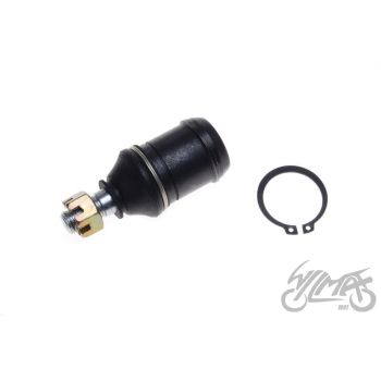 Sarniir alumine - Hiina kvadid.