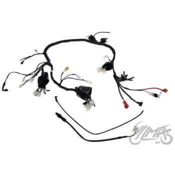 ATV 250 STXE juhtmestik