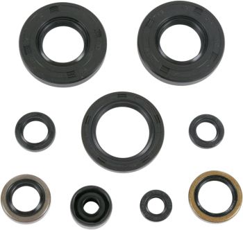 OIL-SEALSKX80-100/RM100