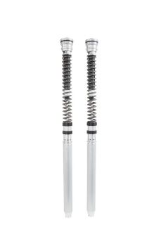CARTRIDGE APRILIA RSV4 (ÖHLINS