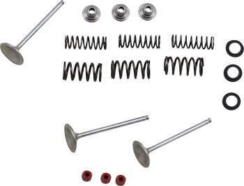 VALVE KIT IN MSE YZ450F