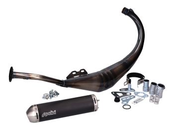 exhaust Polini Evolution for Aprilia RS 50, Rieju RS 2, Yamaha TZR 50 (AM6)