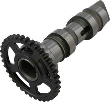 CAM CRF250R/X