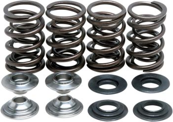 SPRING KIT DRZ400