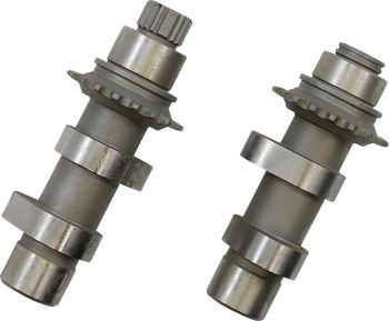 CAMS 48H 06 DYNA 07-17 TC