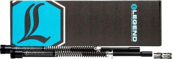 AXEO FORK SPRINGS STANDARD 49M