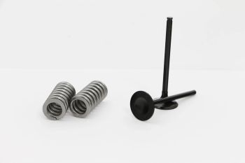 VALVE KIT EXH HONDA CRF450R 02