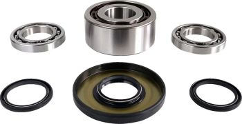 DIF BEARING & SEAL KIT FR