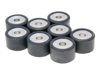roller set / variator weights Polini 25x16mm - 15.0g (8pcs)