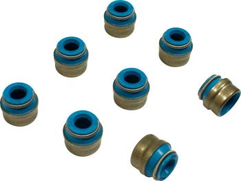 SEALS VALVE 6MM 8PK