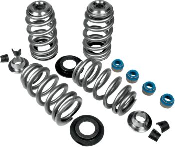 VALVE SPRINGS BHIVE 05-17