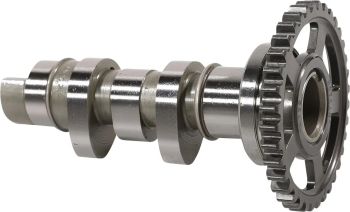 CAM CRF250R/X STG 2
