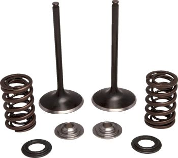 VALVE KT IN CRF250R 18-21