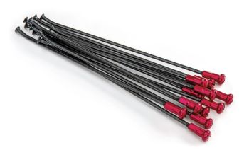 SPOKES 21FR BK /RE NIP 12PC