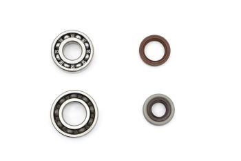 CRANKSHAFT BEARING SET