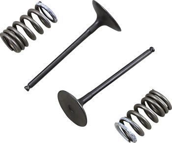 VALVE IN/SPRING KIT RM-Z250