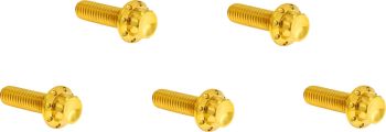 BOLT KIT TITANIUM 12PT DERBY COVER GOLD