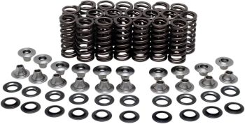 VALVE SPRING KIT YZFR1