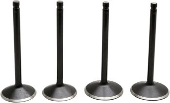 VALVE KIT 84-98 EVO