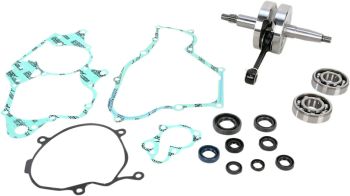 CRANK W/BRG + GASKET