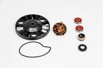 REPAIR KIT WATER PUMP GIL