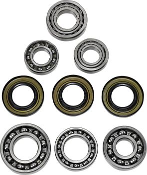DIF BEARING SEAL KIT RR