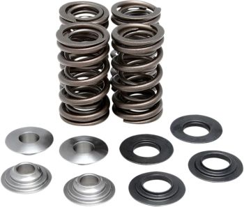 KIT VALVESPRING RAPTOR700