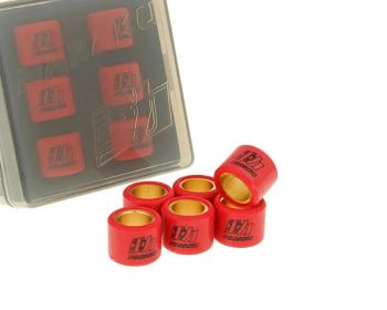 ROLLER SET 16x13MM - 5.5G
