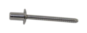 RIVET SS LONG D4 8x12 CLEAR