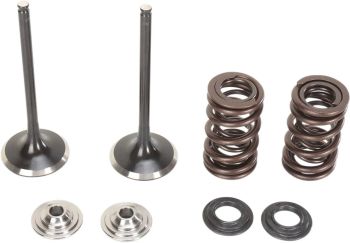 VALVE KIT IN MSE RMZ250